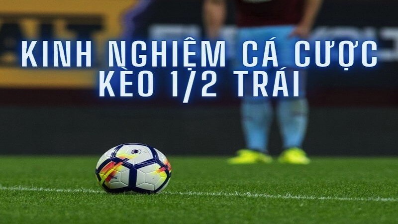 Cung cấp thêm nhiều kiến thức về từng đội đấu