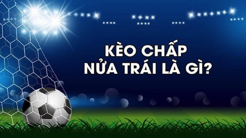 Phân tích chi tiết về thế mạnh của từng đội